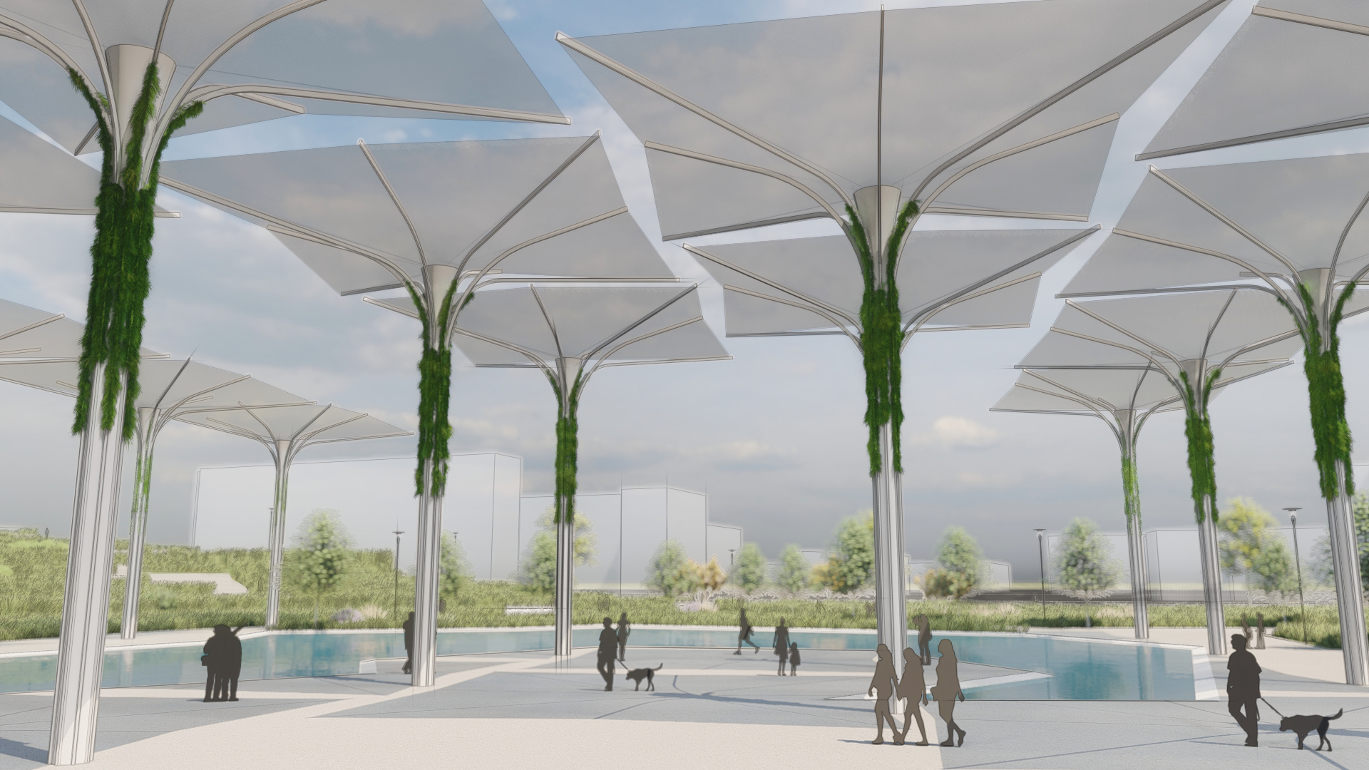 Oasis del Aire